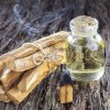 PALO-SANTO (1)